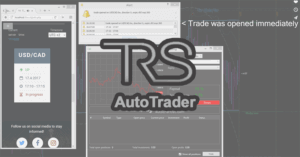 The Real Signals Auto Trader