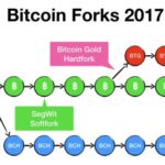 bitcoin-forks