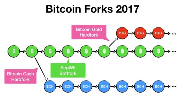 all btc forks visualized