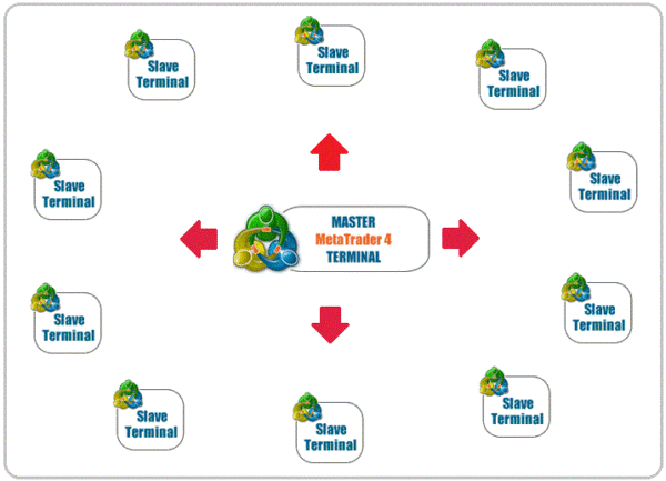 copy trading