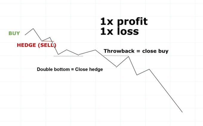 hedging example 2